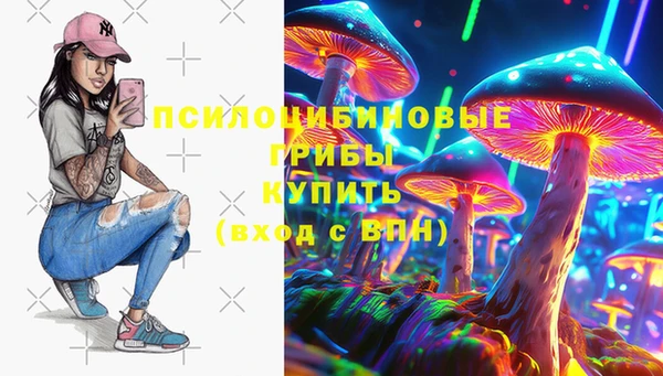 spice Алексин