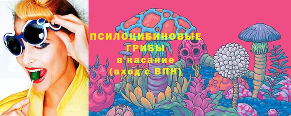 сатива Алексеевка